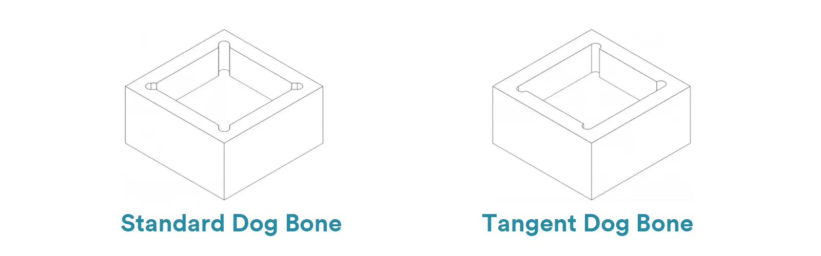 Dog Bone Types