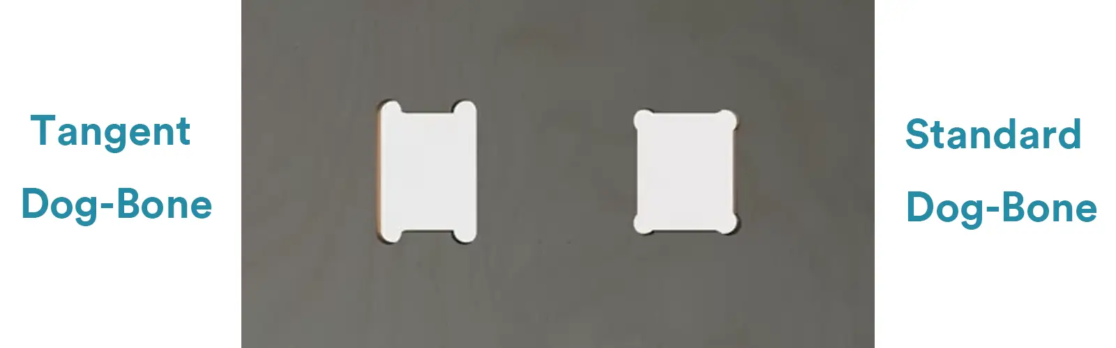 Standard and Tangent Dog-Bone